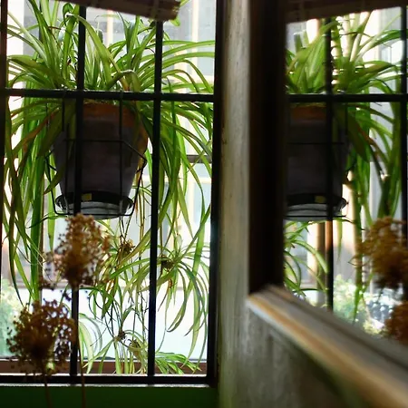 Backpacker Al-katre * قرطبة