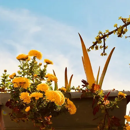 Backpacker Al-katre فندق مبيت وإفطار