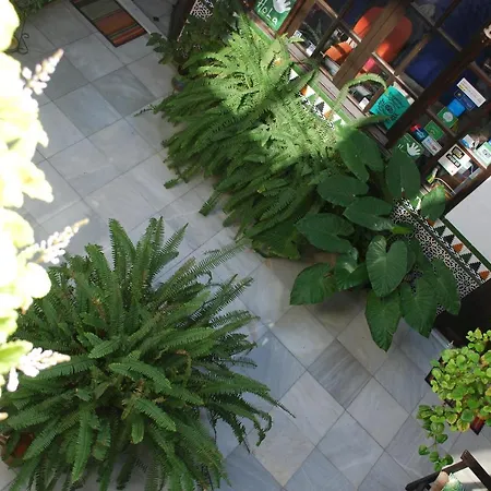 Backpacker Al-katre فندق مبيت وإفطار *