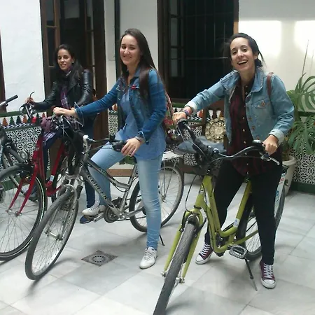 Backpacker Al-katre فندق مبيت وإفطار *