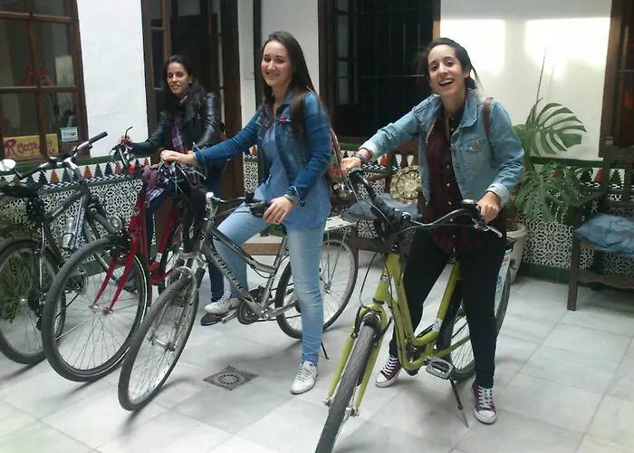 Backpacker Al-katre Отель типа 