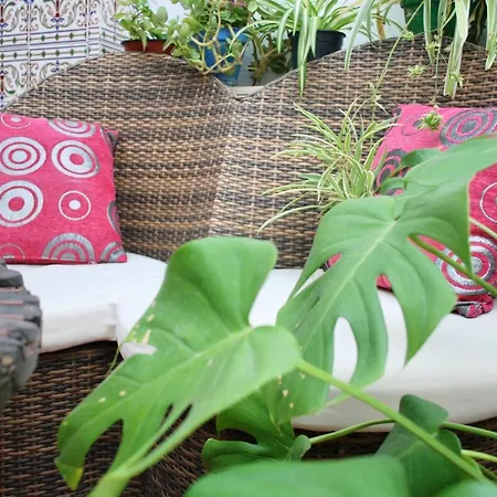 ベッド・アンド・ブレックファスト バックパッカー アルカトレ