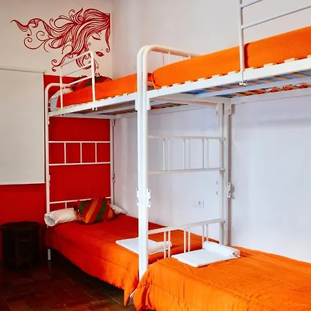 Backpacker Al-katre Bed and breakfast *