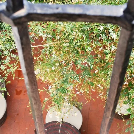 Backpacker Al-katre Bed and breakfast