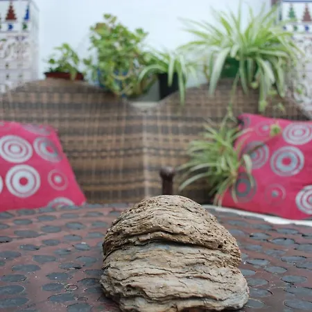 Bed and breakfast Backpacker Al-katre *
