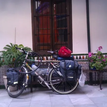 Backpacker Al-katre Bed and breakfast